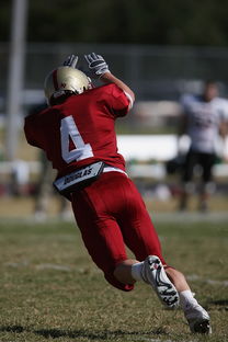 半岛官网入口-全国青少年跳水大赛首次启用AI裁判辅助,青少年跳水比赛视频 第2张